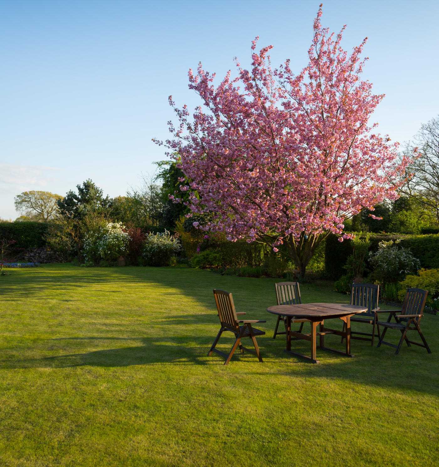 Table and chairs outside in a large garden