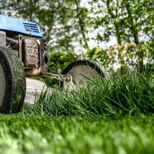 Lawn mower mowing grass